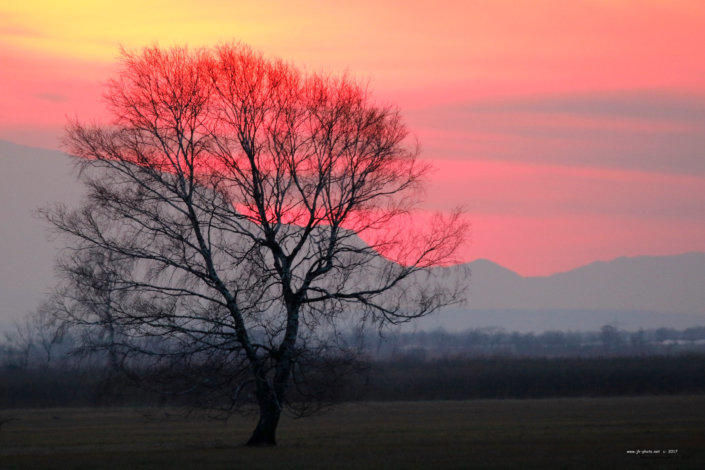 Sonnenuntergang Waasen/Hanság