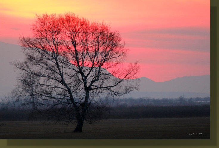 Sonnenuntergang Waasen/Hanság